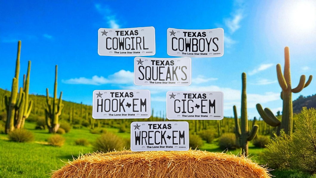 Texas Stickers